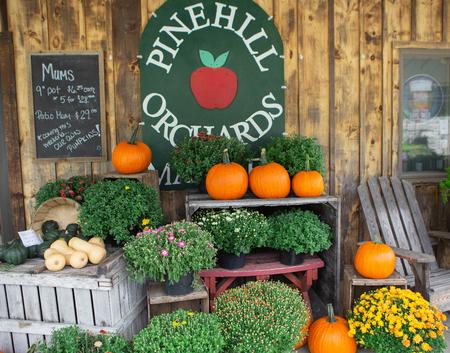 Pinehill Orchards